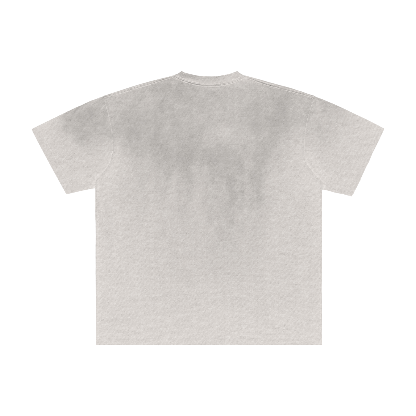 I Miss Us - Vintage Washed Frayed T-Shirt - WACC#23A